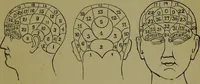 An illustration from A new illustrated hand-book of phrenology, physiology and physiognomy / by R.B.D. Wells. (1870)