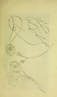 An illustration from Mary Jane : or, spiritualism chemically explained, with spirit drawings / also essays by, and ideas (perhaps erroneous) of "a child at school." (1863)