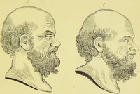 Picture 16 of 74 from Essays on physiognomy / translated from the German of John Caspar Lavater, by Thomas Holcroft. Also one hundred physiognomical rules, taken from a posthumous work of J. C. Lavater ; and a memoir of the author. (1880), leaf 283
