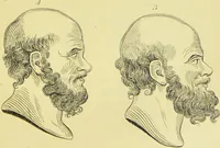 Picture 17 of 74 from Essays on physiognomy / translated from the German of John Caspar Lavater, by Thomas Holcroft. Also one hundred physiognomical rules, taken from a posthumous work of J. C. Lavater ; and a memoir of the author. (1880), leaf 283