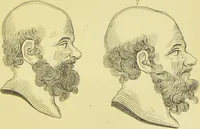 Picture 19 of 74 from Essays on physiognomy / translated from the German of John Caspar Lavater, by Thomas Holcroft. Also one hundred physiognomical rules, taken from a posthumous work of J. C. Lavater ; and a memoir of the author. (1880), leaf 285