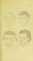 Picture 31 of 74 from Essays on physiognomy / translated from the German of John Caspar Lavater, by Thomas Holcroft. Also one hundred physiognomical rules, taken from a posthumous work of J. C. Lavater ; and a memoir of the author. (1880), leaf 395