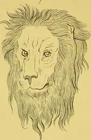 Picture 34 of 74 from Essays on physiognomy / translated from the German of John Caspar Lavater, by Thomas Holcroft. Also one hundred physiognomical rules, taken from a posthumous work of J. C. Lavater ; and a memoir of the author. (1880), leaf 414