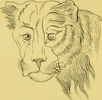 Picture 35 of 74 from Essays on physiognomy / translated from the German of John Caspar Lavater, by Thomas Holcroft. Also one hundred physiognomical rules, taken from a posthumous work of J. C. Lavater ; and a memoir of the author. (1880), leaf 414
