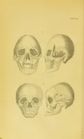 Picture 42 of 74 from Essays on physiognomy / translated from the German of John Caspar Lavater, by Thomas Holcroft. Also one hundred physiognomical rules, taken from a posthumous work of J. C. Lavater ; and a memoir of the author. (1880), leaf 456