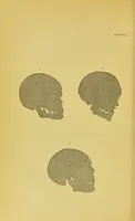 Picture 45 of 74 from Essays on physiognomy / translated from the German of John Caspar Lavater, by Thomas Holcroft. Also one hundred physiognomical rules, taken from a posthumous work of J. C. Lavater ; and a memoir of the author. (1880), leaf 468