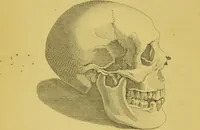 Picture 47 of 74 from Essays on physiognomy / translated from the German of John Caspar Lavater, by Thomas Holcroft. Also one hundred physiognomical rules, taken from a posthumous work of J. C. Lavater ; and a memoir of the author. (1880), leaf 472