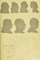 An illustration from Essays on physiognomy / translated from the German of John Caspar Lavater, by Thomas Holcroft. Also one hundred physiognomical rules, taken from a posthumous work of J. C. Lavater ; and a memoir of the author. (1880)