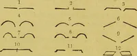 Picture 52 of 74 from Essays on physiognomy / translated from the German of John Caspar Lavater, by Thomas Holcroft. Also one hundred physiognomical rules, taken from a posthumous work of J. C. Lavater ; and a memoir of the author. (1880), leaf 626