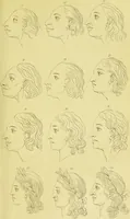 Picture 53 of 74 from Essays on physiognomy / translated from the German of John Caspar Lavater, by Thomas Holcroft. Also one hundred physiognomical rules, taken from a posthumous work of J. C. Lavater ; and a memoir of the author. (1880), leaf 627
