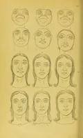 Picture 54 of 74 from Essays on physiognomy / translated from the German of John Caspar Lavater, by Thomas Holcroft. Also one hundred physiognomical rules, taken from a posthumous work of J. C. Lavater ; and a memoir of the author. (1880), leaf 630