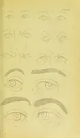 Picture 71 of 74 from Essays on physiognomy / translated from the German of John Caspar Lavater, by Thomas Holcroft. Also one hundred physiognomical rules, taken from a posthumous work of J. C. Lavater ; and a memoir of the author. (1880), leaf 729