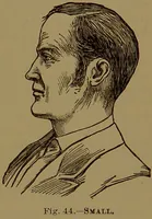 An illustration from The self-instructor in phrenology and physiology : with over one hundred new illustrations, including a chart for the use of practical phrenologists / by O.S. and L.N. Fowler. Rev. by Nelson Sizer. (1889)