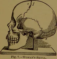 Picture 6 of 61 from The self-instructor in phrenology and physiology : with over one hundred new illustrations, including a chart for the use of practical phrenologists / by O.S. and L.N. Fowler. Rev. by Nelson Sizer. (1889), leaf 71