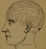 Picture 1 of 61 from The self-instructor in phrenology and physiology : with over one hundred new illustrations, including a chart for the use of practical phrenologists / by O.S. and L.N. Fowler. Rev. by Nelson Sizer. (1889), leaf 8