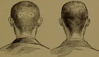 An illustration from The self-instructor in phrenology and physiology : with over one hundred new illustrations, including a chart for the use of practical phrenologists / by O.S. and L.N. Fowler. Rev. by Nelson Sizer. (1889)