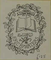 An illustration from Experiments and observations on the cortex salicis latifoliae, or broad-leafed willow bark; illustrated by a coloured plate. Interspersed with general observations and remarks on the different species of the cinchona, &c. General history and progressive introduction of the salix latifolia; with a variety of experiments, tending to elucidate its properties. Illustrated by cases demonstrating its superior efficacy above the cinchonae in various diseases, more particularly that branch of the healing art termed medical surgery / by G. Wilkinson. (1803)