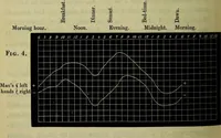 An illustration from Physico-physiological researches on the dynamics of magnetism, electricity, heat, light, crystallization, and chemism, in their relations to vital force / by Baron Charles Von Reichenbach; with the addition of a preface and critical notes by John Ashburner. (1850)