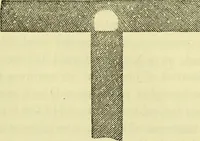 An illustration from Physico-physiological researches on the dynamics of magnetism, electricity, heat, light, crystallization, and chemism, in their relations to vital force / by Baron Charles Von Reichenbach; with the addition of a preface and critical notes by John Ashburner. (1850)
