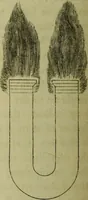 An illustration from Physico-physiological researches on the dynamics of magnetism, electricity, heat, light, crystallization, and chemism, in their relations to vital force / by Baron Charles Von Reichenbach; with the addition of a preface and critical notes by John Ashburner. (1850)
