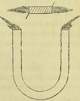 An illustration from Physico-physiological researches on the dynamics of magnetism, electricity, heat, light, crystallization, and chemism, in their relations to vital force / by Baron Charles Von Reichenbach; with the addition of a preface and critical notes by John Ashburner. (1850)