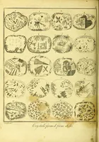 An illustration from A key to physic, and the occult sciences : opening to mental view, the system and order of the interior and exterior heavens; the analogy betwixt angels, and spirits of men; and the sympathy between celestial and terrestrial bodies, from whence is deduced an obvious discrimination of future events, in the motions and position of the luminaries, planets, and stars; the universal spirit and economy of nature, in the production of all things; the principles of etherial, and atmospherical influx, in constituting the proper recipient of life; the active and passive tinctures requisite in the generation of men and brutes; and the foundation and necessity of that invisible agitation of matter, which stimulates and impels every living creature in the act of begetting its like; the properties of vegetable, mineral and animal magnetism: the fundamental causes and qualities, visible or occult, of all diseases, both of mind and body, and the simple modes prescribed by nature for their prevention and cure : to which are added, lunar tables, calculated from sidereal motion; exhibiting upon the most simple, yet unerring construction, the actual moment of the crisis of every disease, and the consequent termination thereof, whether for life or death: the whole forming an interesting supplement to Culpeper's family physician, and display of the occult sciences ; published for the good of all / by E. Sibly. (1821)