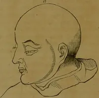 An illustration from Phrenology made practical and popularly explained / by Frederick Bridges. (1861)