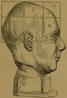 An illustration from Phrenology made practical and popularly explained / by Frederick Bridges. (1861)