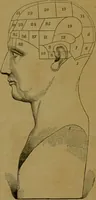 An illustration from Phrenology made practical and popularly explained / by Frederick Bridges. (1861)