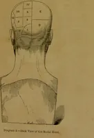 Picture 3 of 60 from Phrenology made practical and popularly explained / by Frederick Bridges. (1861), leaf 19