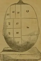An illustration from Phrenology made practical and popularly explained / by Frederick Bridges. (1861)