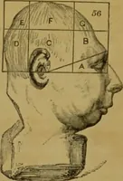 Picture 6 of 60 from Phrenology made practical and popularly explained / by Frederick Bridges. (1861), leaf 32