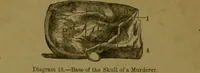 Picture 12 of 60 from Phrenology made practical and popularly explained / by Frederick Bridges. (1861), leaf 62