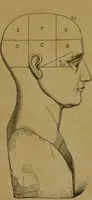 An illustration from Phrenology made practical and popularly explained / by Frederick Bridges. (1861)
