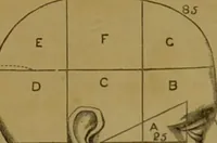 An illustration from Phrenology made practical and popularly explained / by Frederick Bridges. (1861)