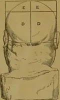 An illustration from Phrenology made practical and popularly explained / by Frederick Bridges. (1861)