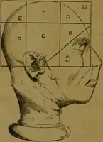 An illustration from Phrenology made practical and popularly explained / by Frederick Bridges. (1861)