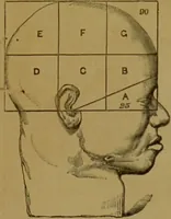 An illustration from Phrenology made practical and popularly explained / by Frederick Bridges. (1861)