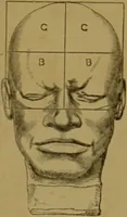 An illustration from Phrenology made practical and popularly explained / by Frederick Bridges. (1861)