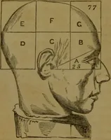 An illustration from Phrenology made practical and popularly explained / by Frederick Bridges. (1861)