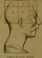 Picture 27 of 60 from Phrenology made practical and popularly explained / by Frederick Bridges. (1861), leaf 76