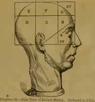 Picture 28 of 60 from Phrenology made practical and popularly explained / by Frederick Bridges. (1861), leaf 77