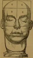 An illustration from Phrenology made practical and popularly explained / by Frederick Bridges. (1861)
