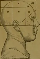 An illustration from Phrenology made practical and popularly explained / by Frederick Bridges. (1861)