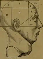 An illustration from Phrenology made practical and popularly explained / by Frederick Bridges. (1861)
