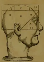 An illustration from Phrenology made practical and popularly explained / by Frederick Bridges. (1861)