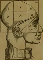 An illustration from Phrenology made practical and popularly explained / by Frederick Bridges. (1861)
