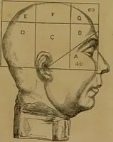 An illustration from Phrenology made practical and popularly explained / by Frederick Bridges. (1861)