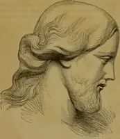 An illustration from Phrenology made practical and popularly explained / by Frederick Bridges. (1861)