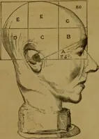 Picture 44 of 60 from Phrenology made practical and popularly explained / by Frederick Bridges. (1861), leaf 87
